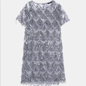 Never worn NWT ZARA FRINGED SEQUIN DRESS